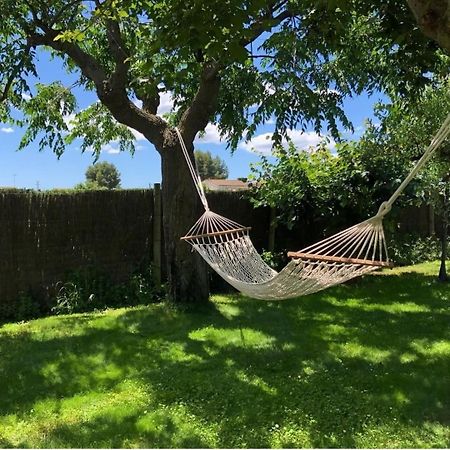 Apartment With Private Pool And Garden San Martín Sarroca エクステリア 写真