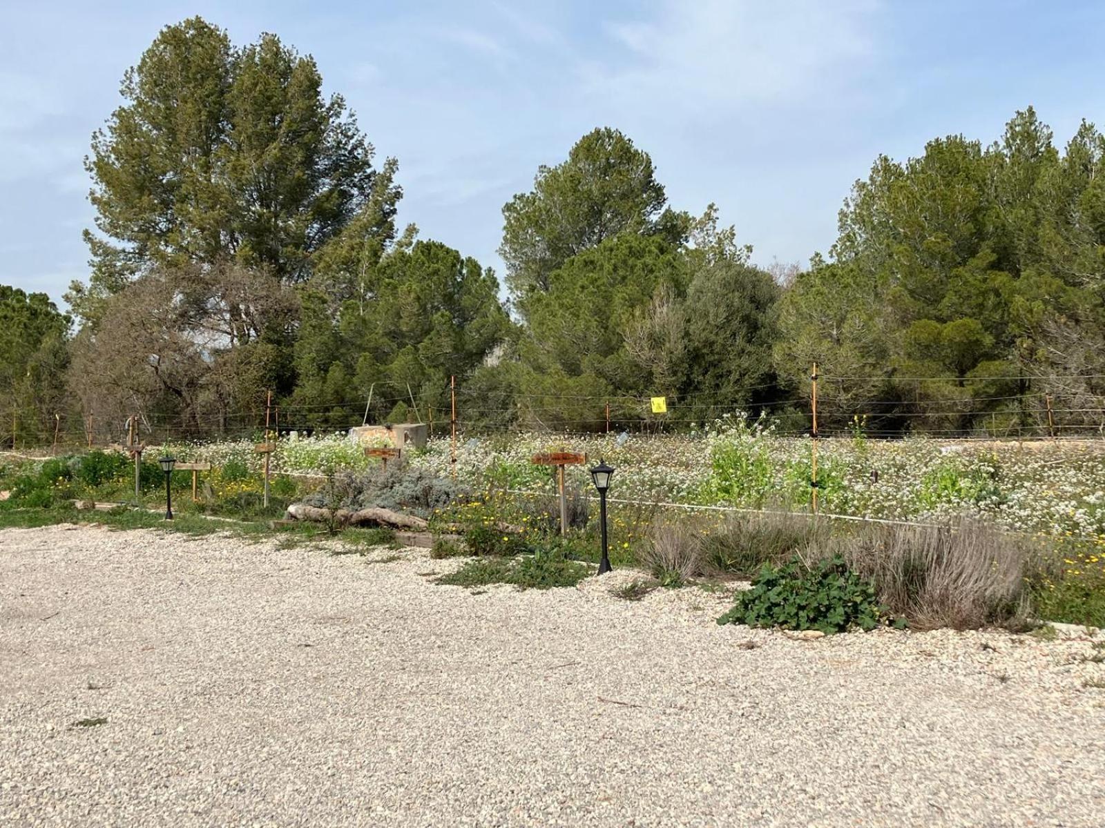 Apartment With Private Pool And Garden San Martín Sarroca エクステリア 写真