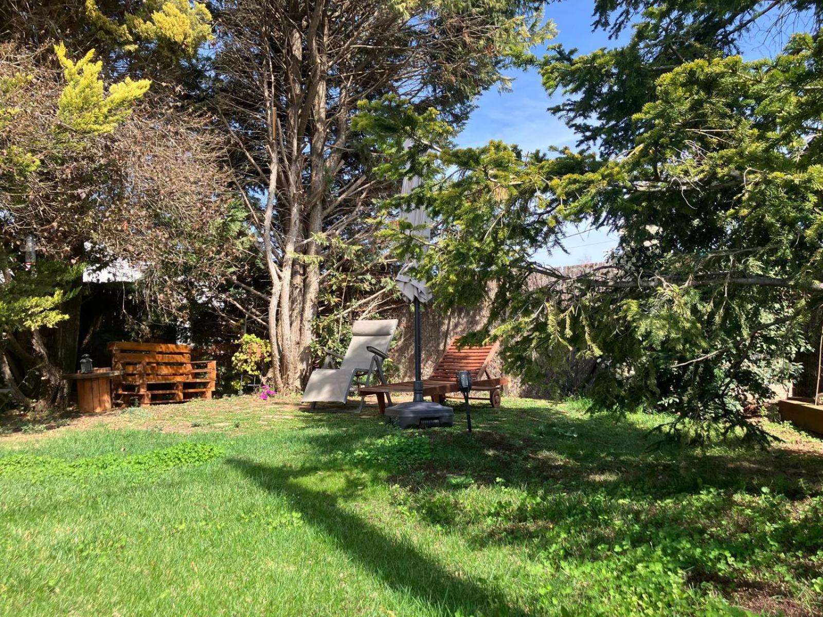 Apartment With Private Pool And Garden San Martín Sarroca エクステリア 写真