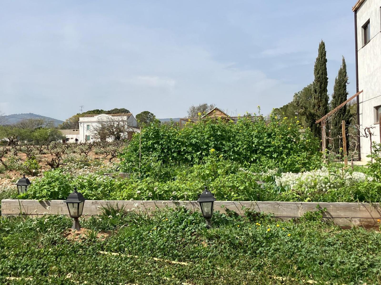 Apartment With Private Pool And Garden San Martín Sarroca エクステリア 写真