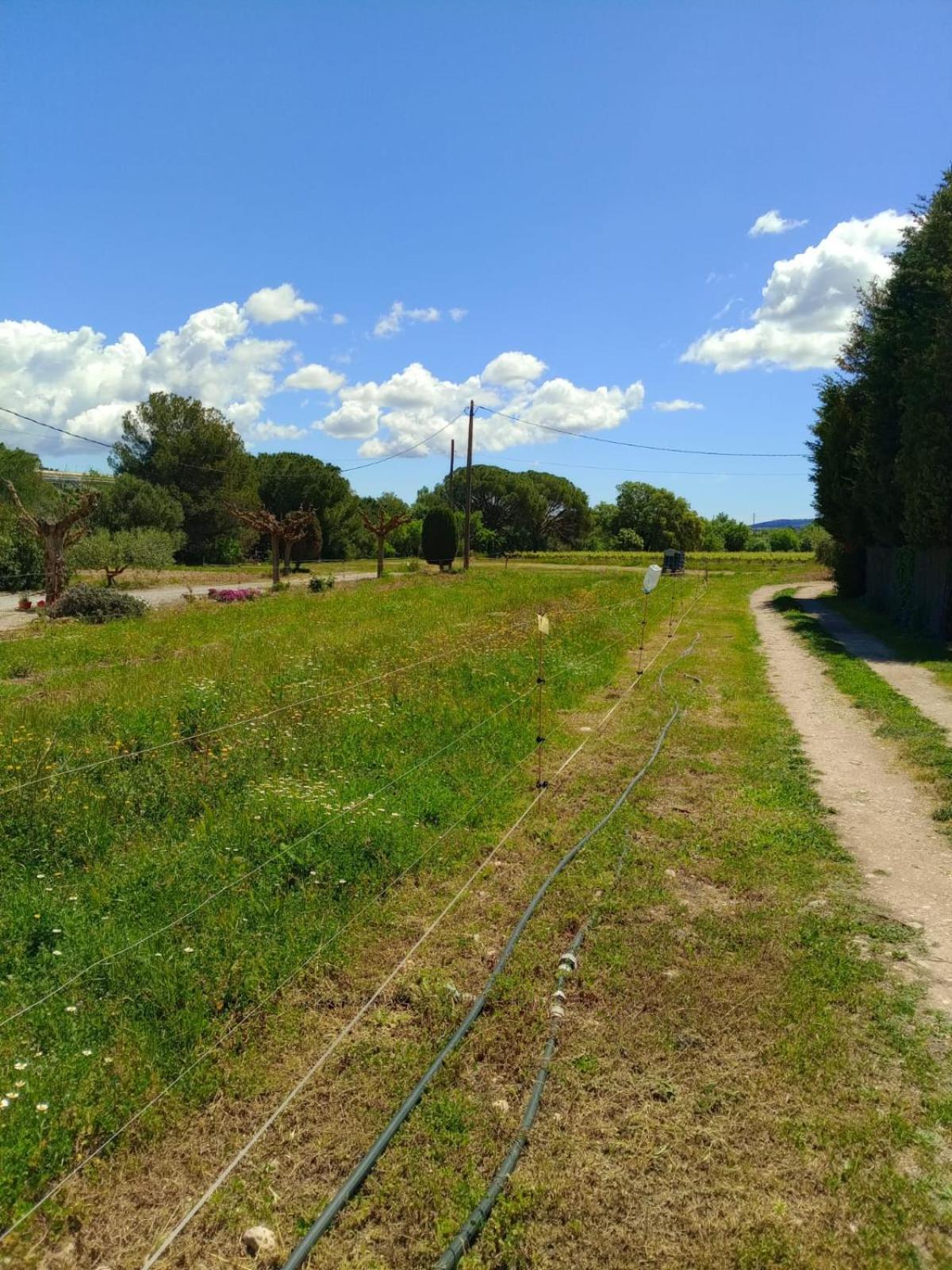 Apartment With Private Pool And Garden San Martín Sarroca エクステリア 写真